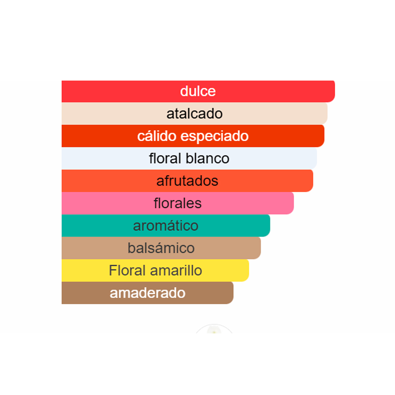 Tipo CHLOÉ NARCISSE (MAR25) - Imagen 2