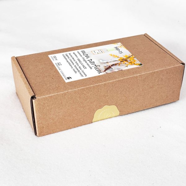 Tipo VANILLA HAZE (SEP-25) - Imagen 7