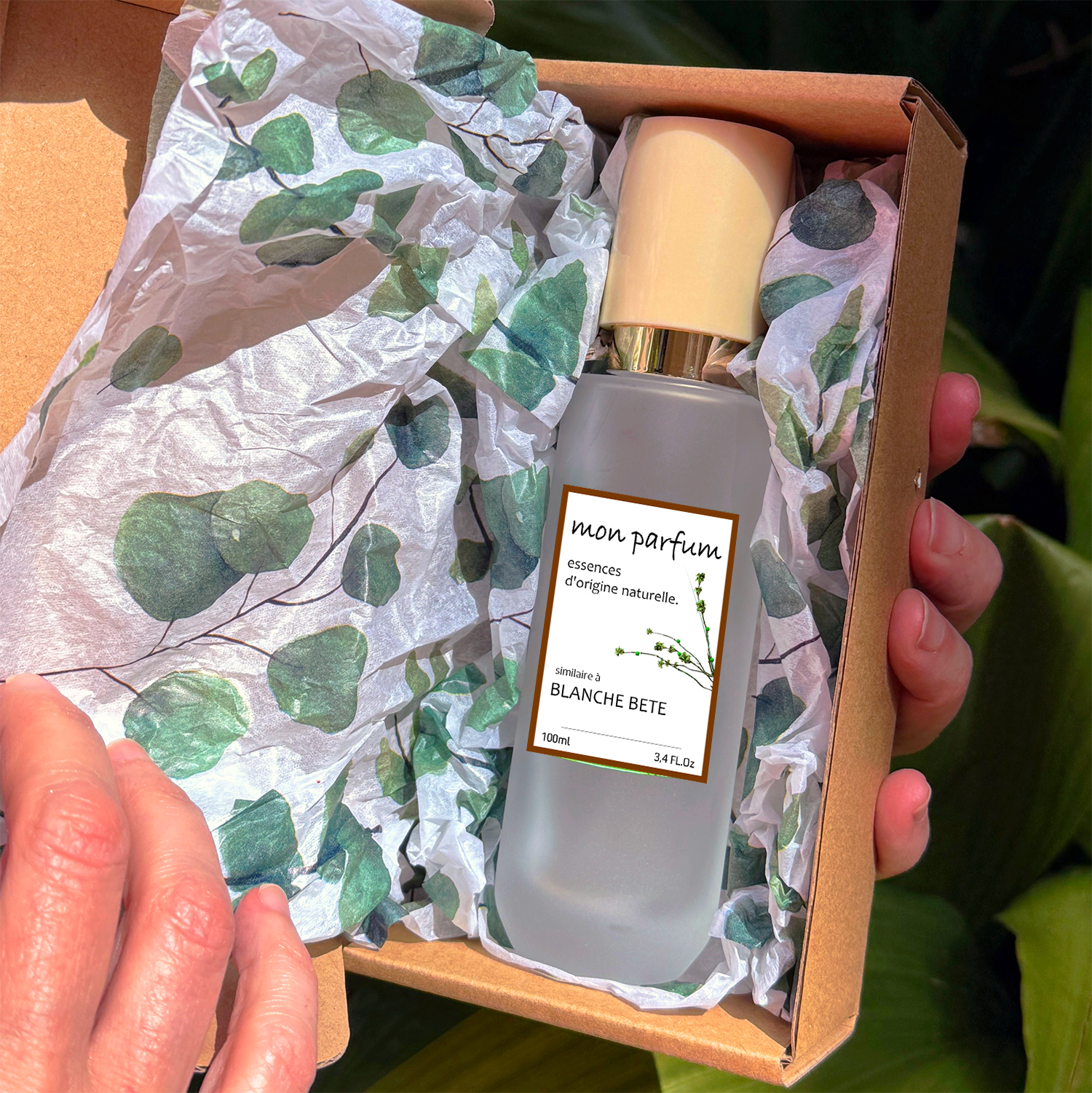 Tipo BLANCHE BETE (OCT-25) - Imagen 6