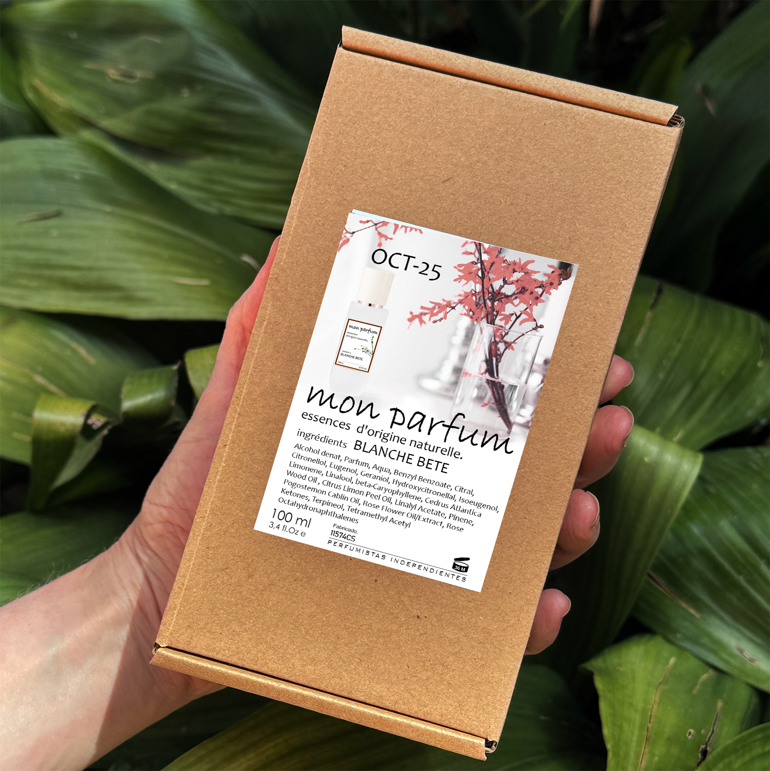 Tipo BLANCHE BETE (OCT-25) - Imagen 9