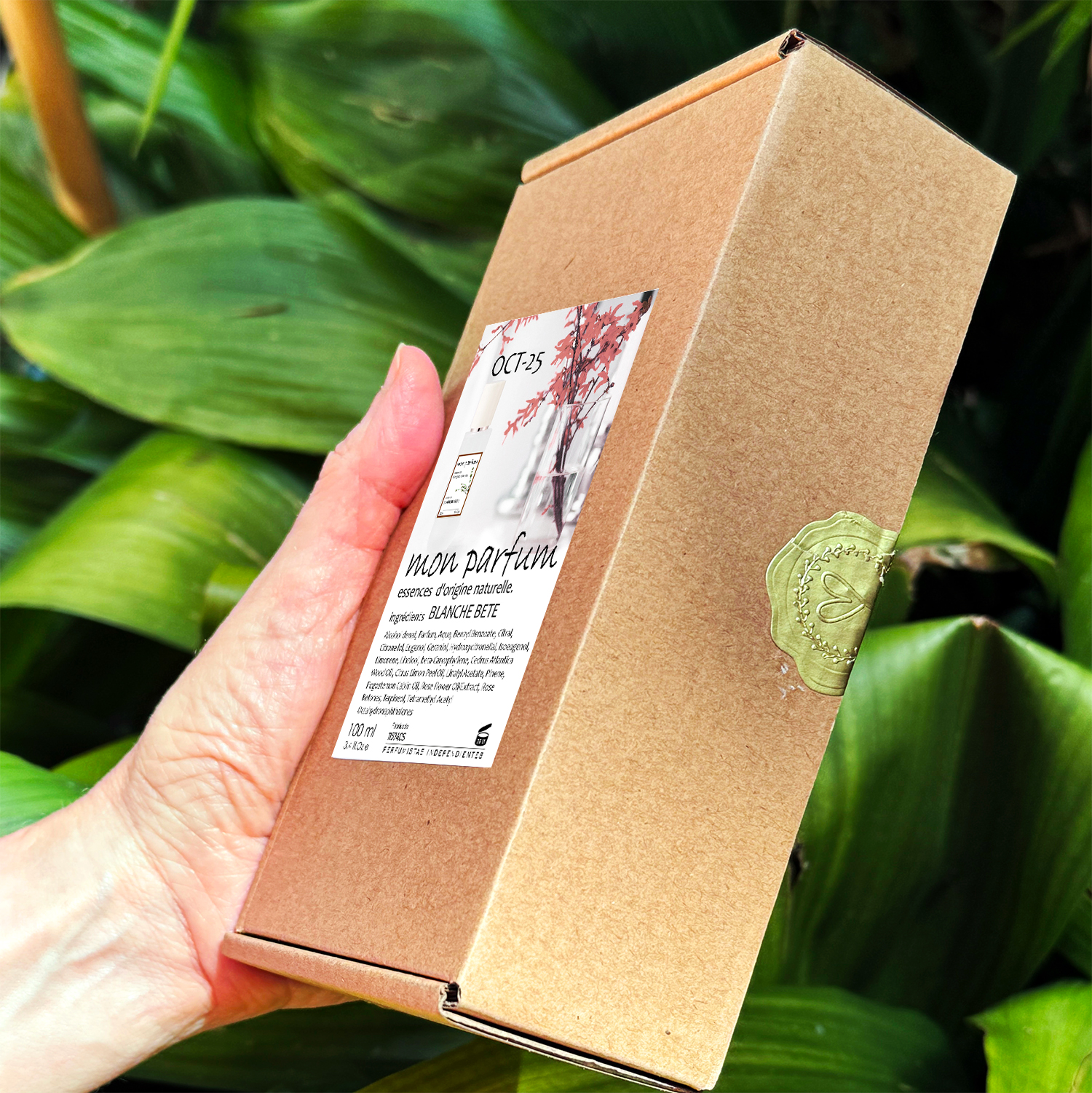 Tipo BLANCHE BETE (OCT-25) - Imagen 10