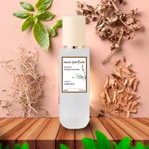 Tipo CARLISLE (OCT-25)