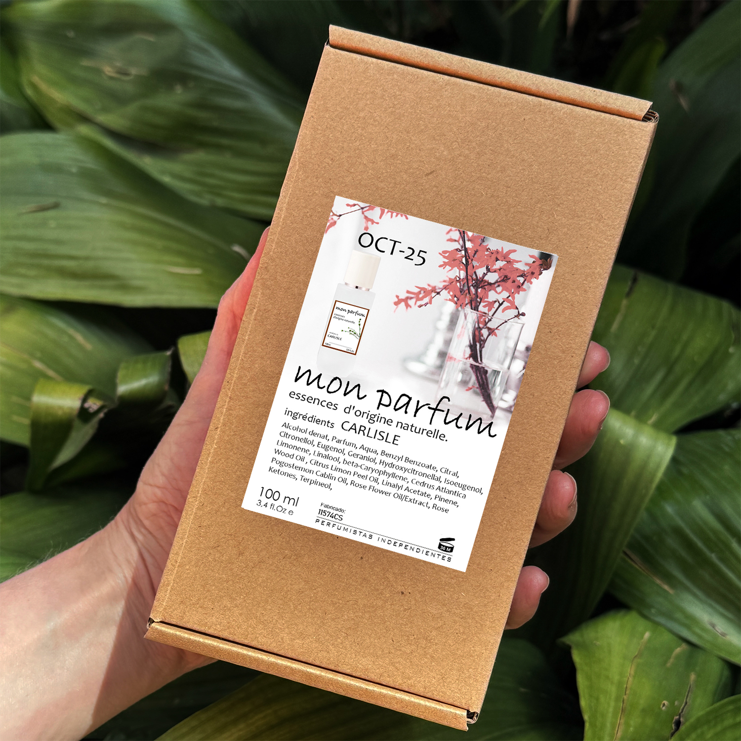 Tipo CARLISLE (OCT-25) - Imagen 9