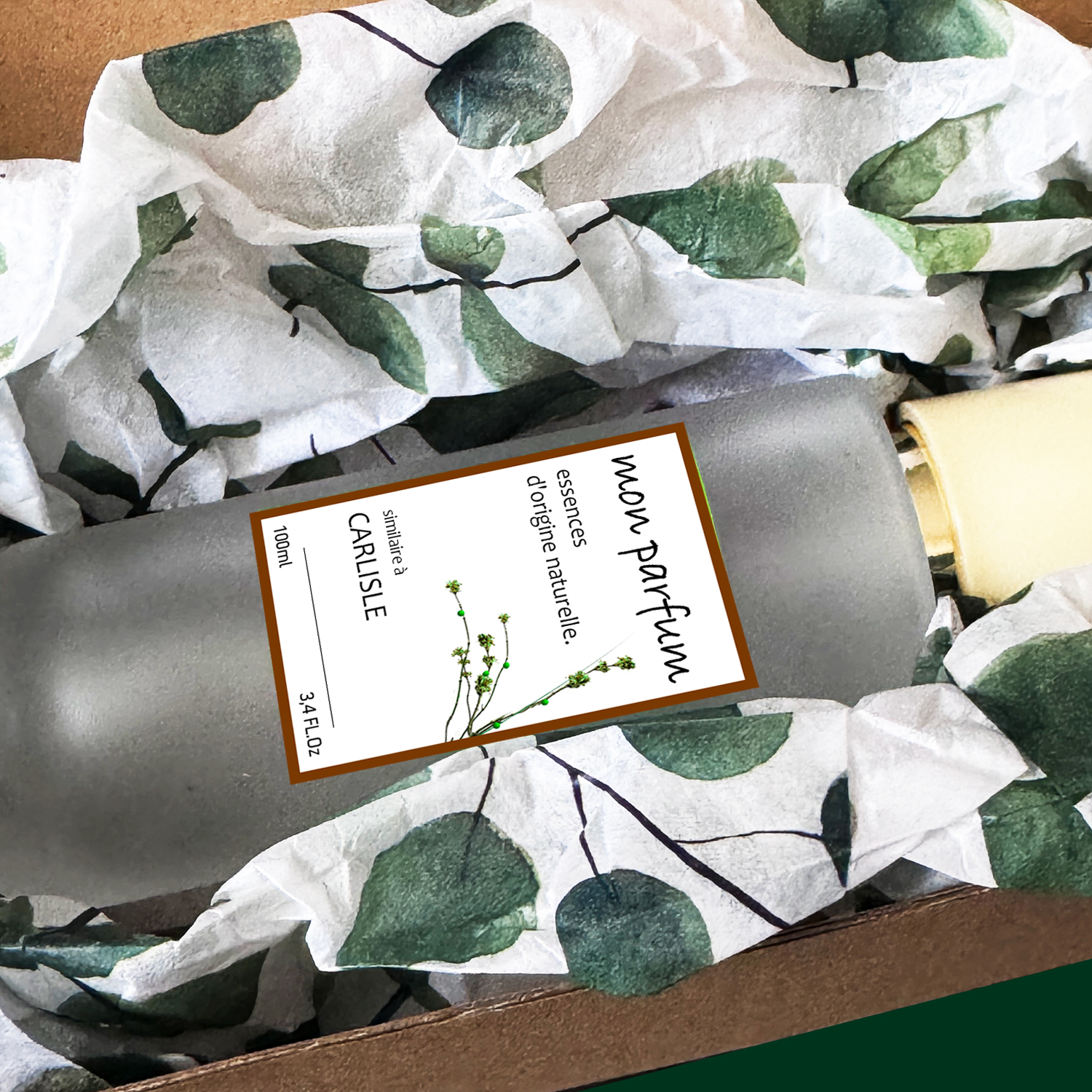 Tipo CARLISLE (OCT-25) - Imagen 3