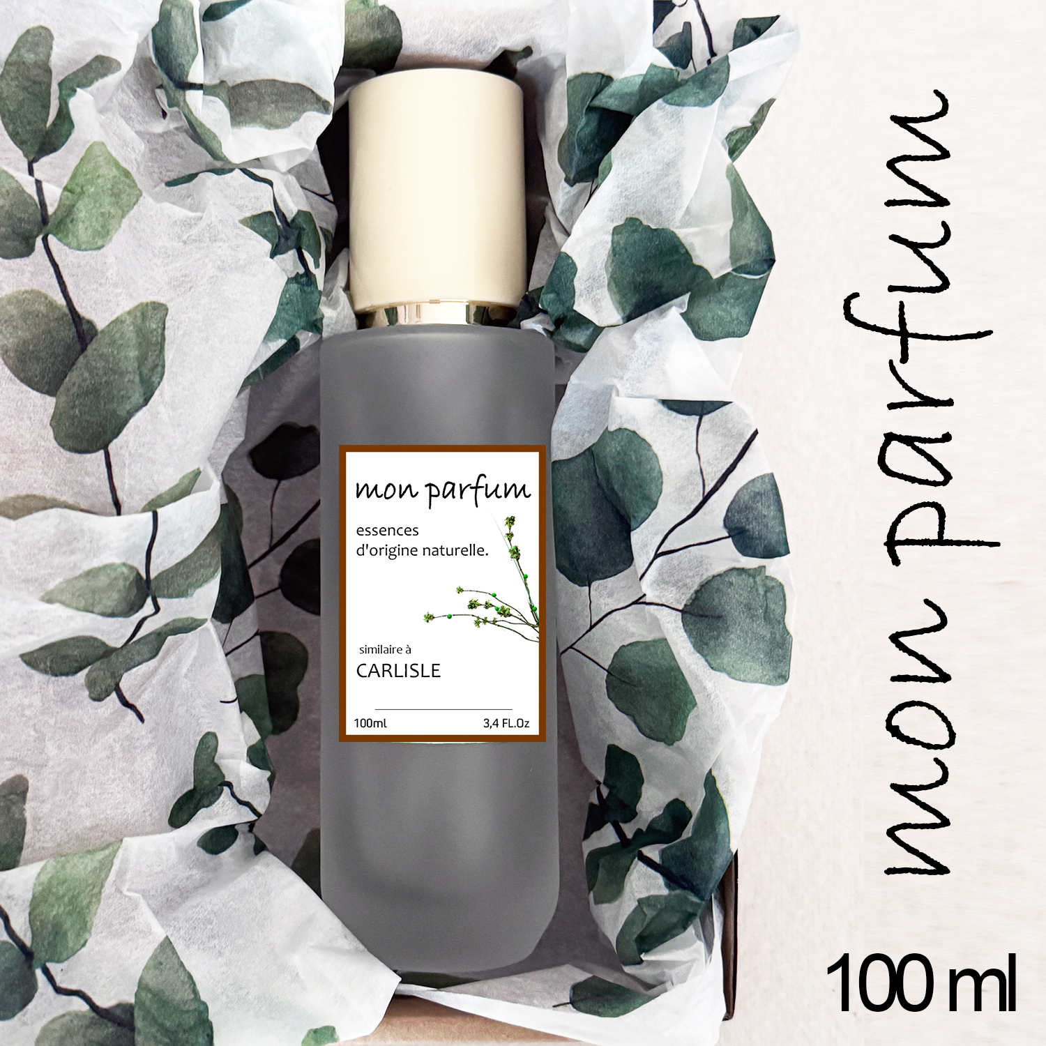 Tipo CARLISLE (OCT-25) - Imagen 4