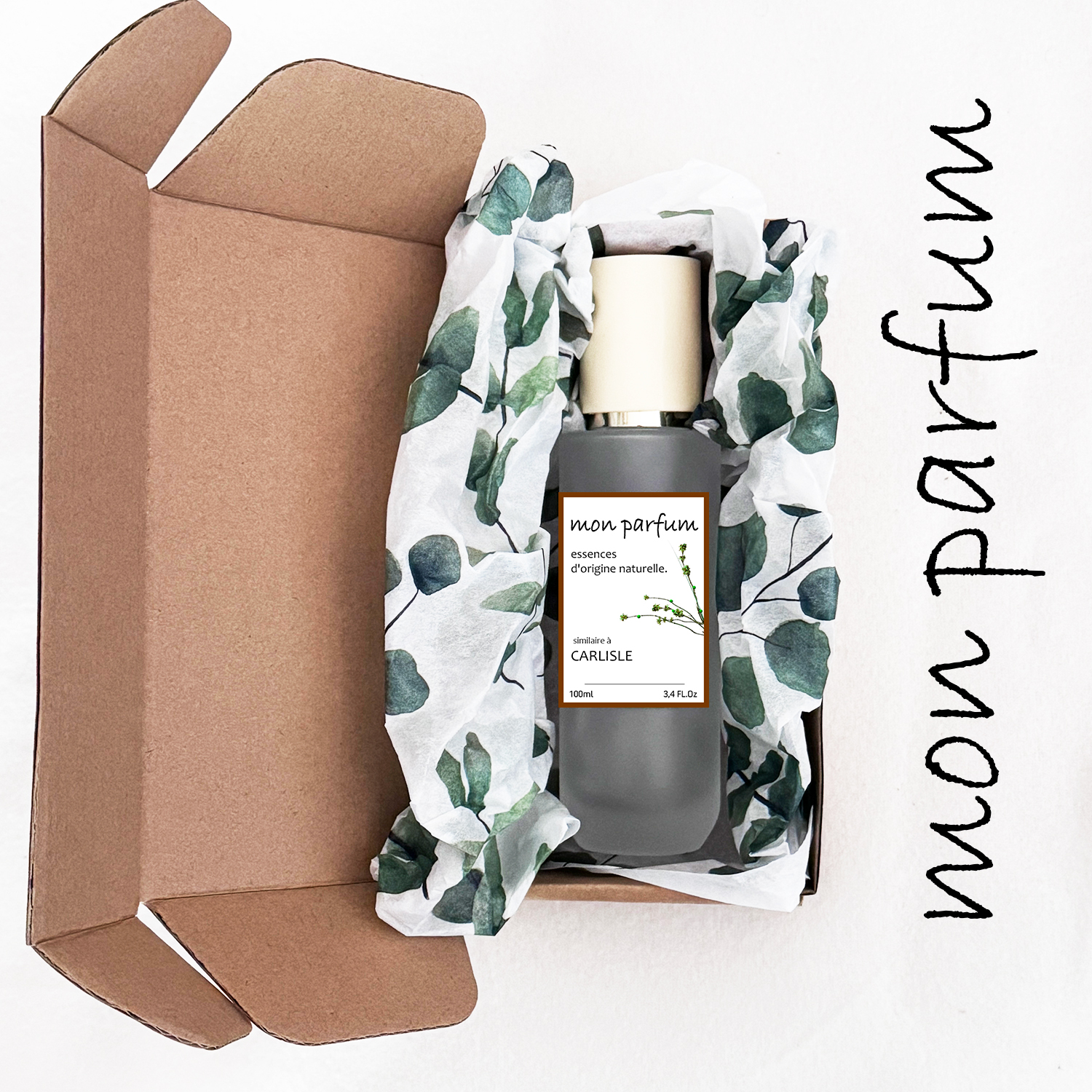 Tipo CARLISLE (OCT-25) - Imagen 5