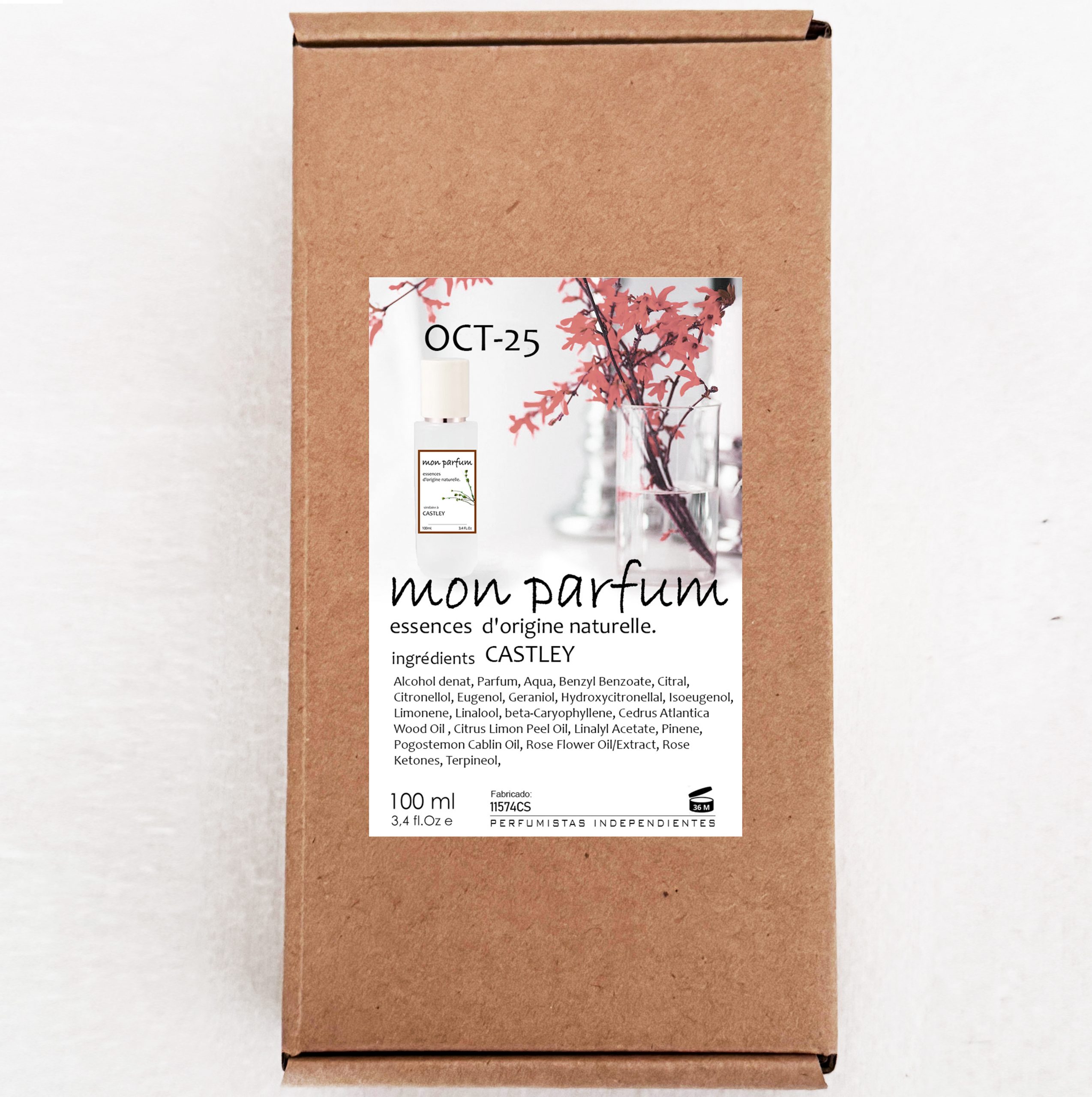 Tipo CASTLEY (OCT-25) - Imagen 6