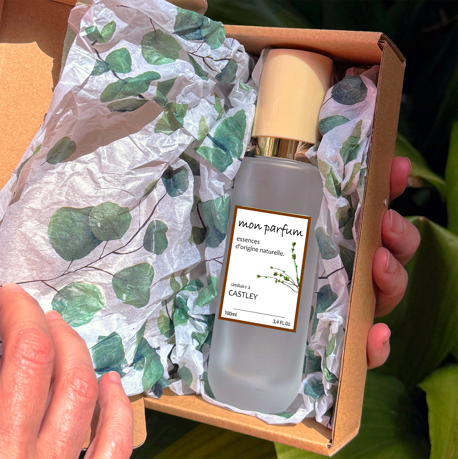 Tipo CASTLEY (OCT-25) - Imagen 5