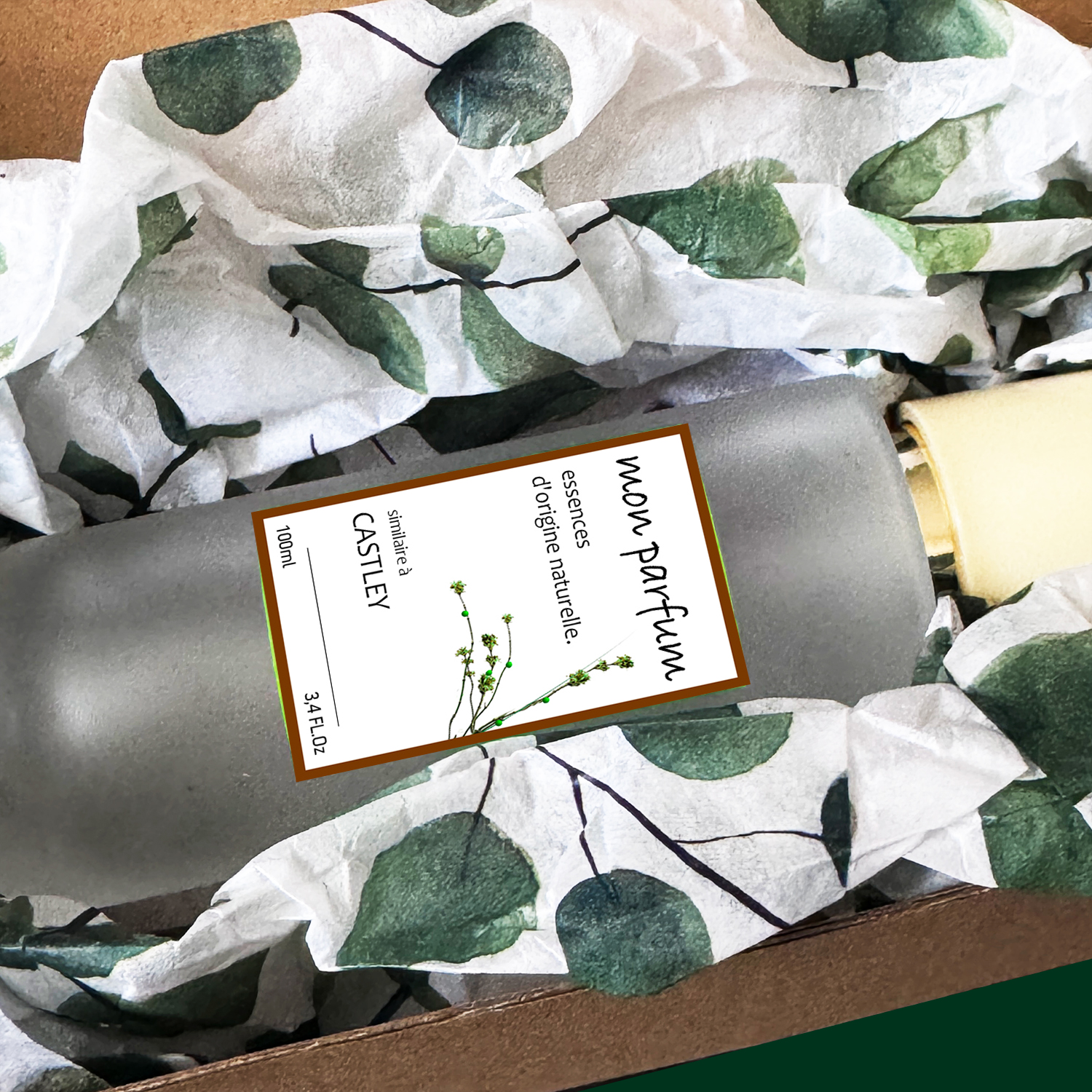 Tipo CASTLEY (OCT-25) - Imagen 2