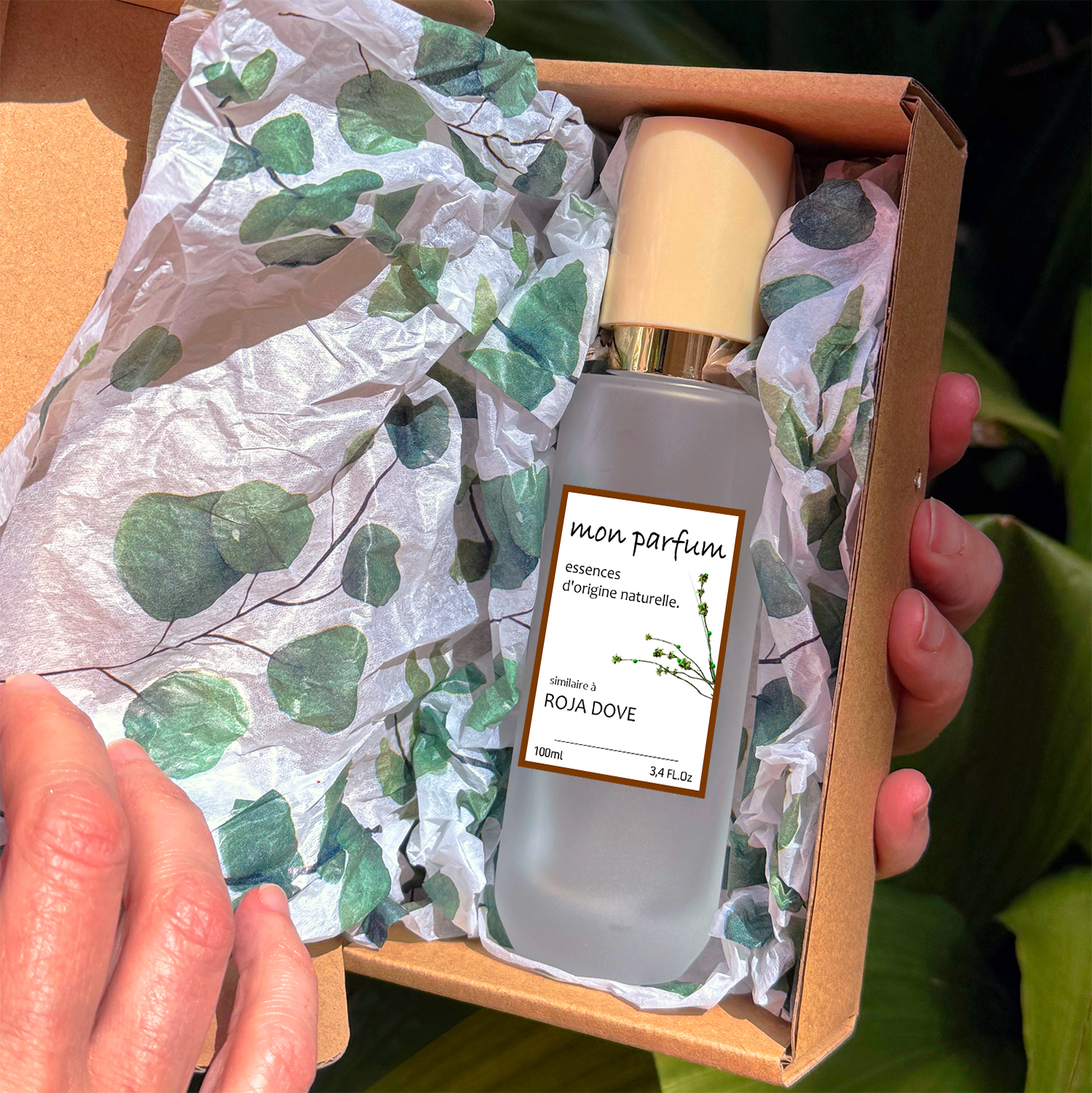 Tipo ROJA DOVE (OCT-25) - Imagen 6