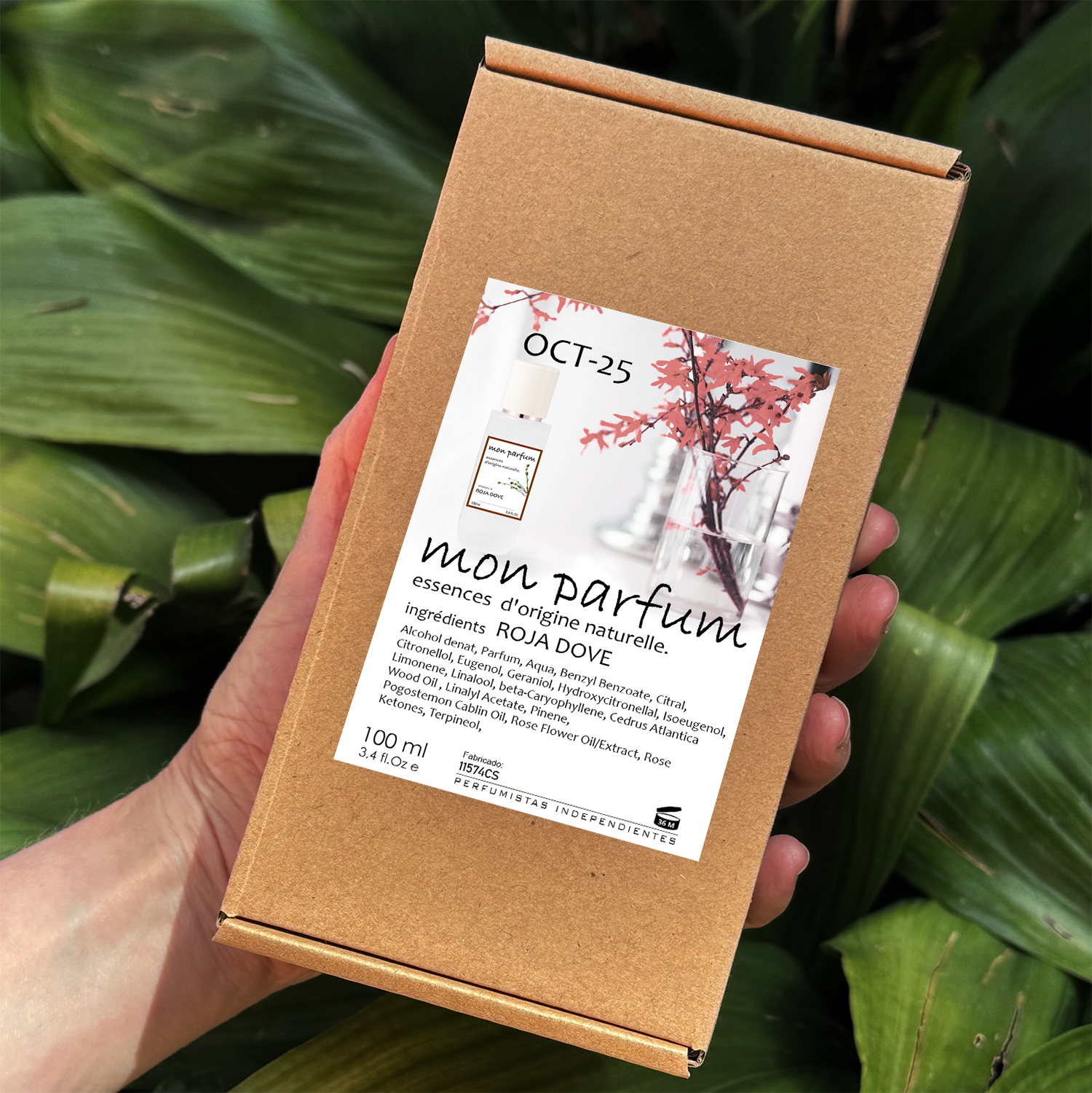 Tipo ROJA DOVE (OCT-25) - Imagen 10