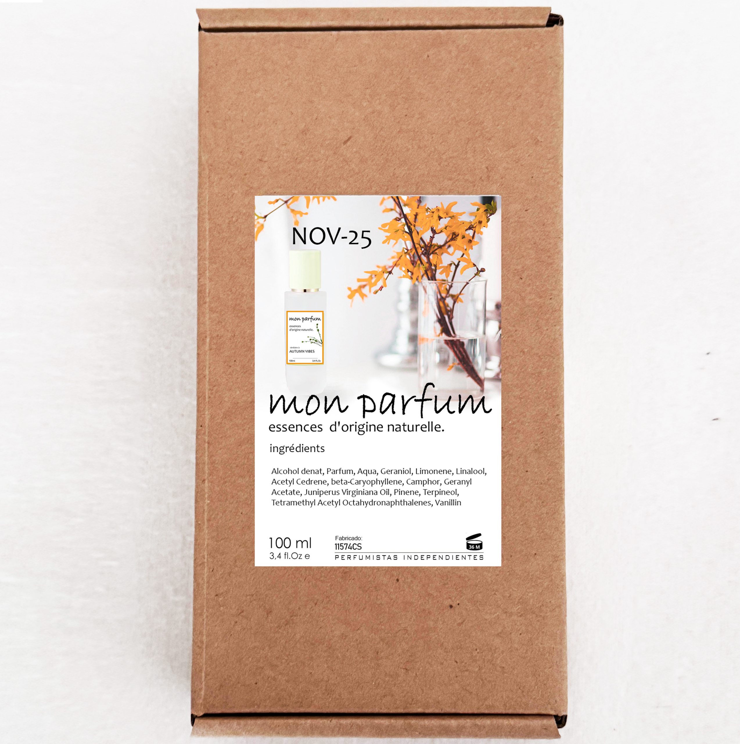 Tipo AUTUMN VIBES (NOV-25) - Imagen 8