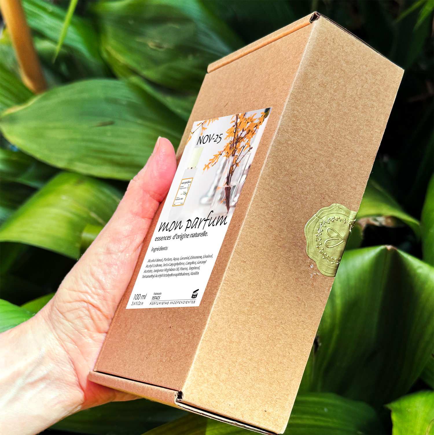 Tipo AUTUMN VIBES (NOV-25) - Imagen 7