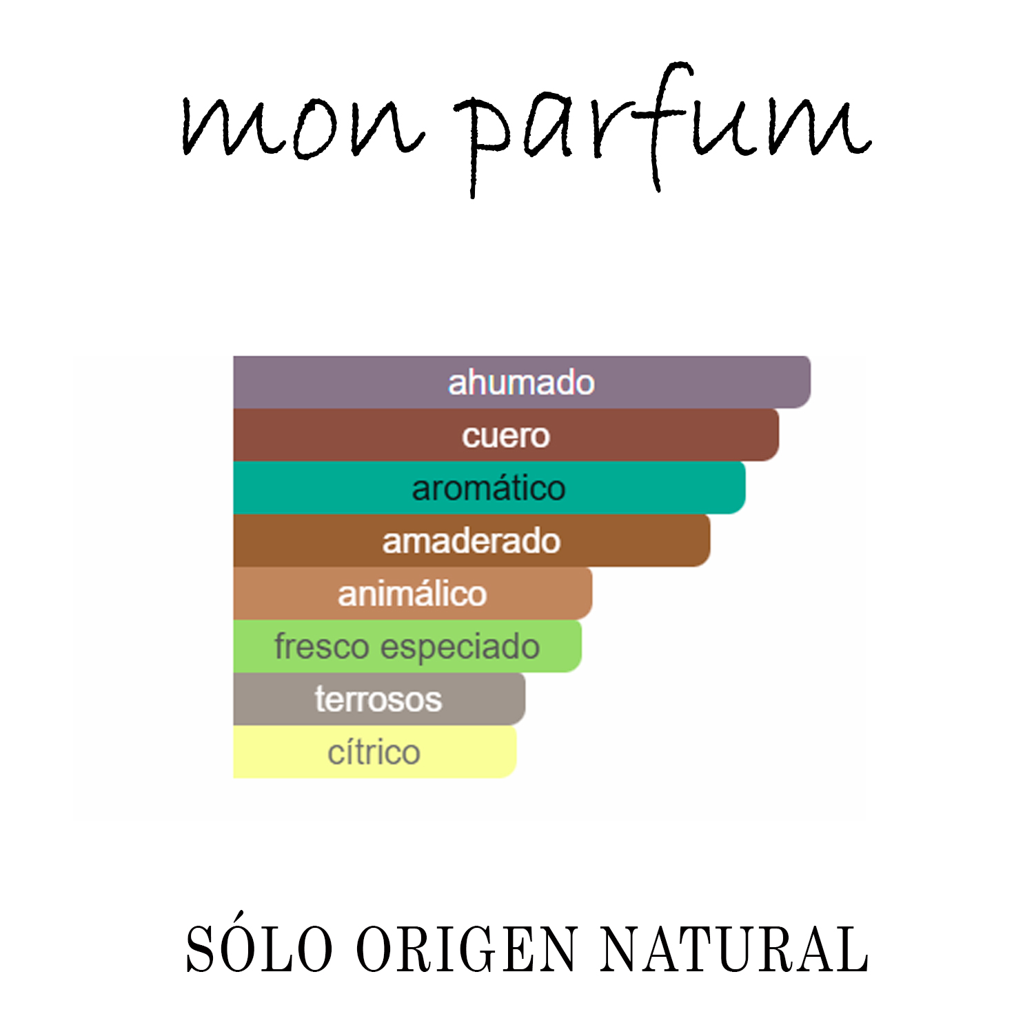 Tipo BRONZE WOOD & LEATHER (NOV-25) - Imagen 2