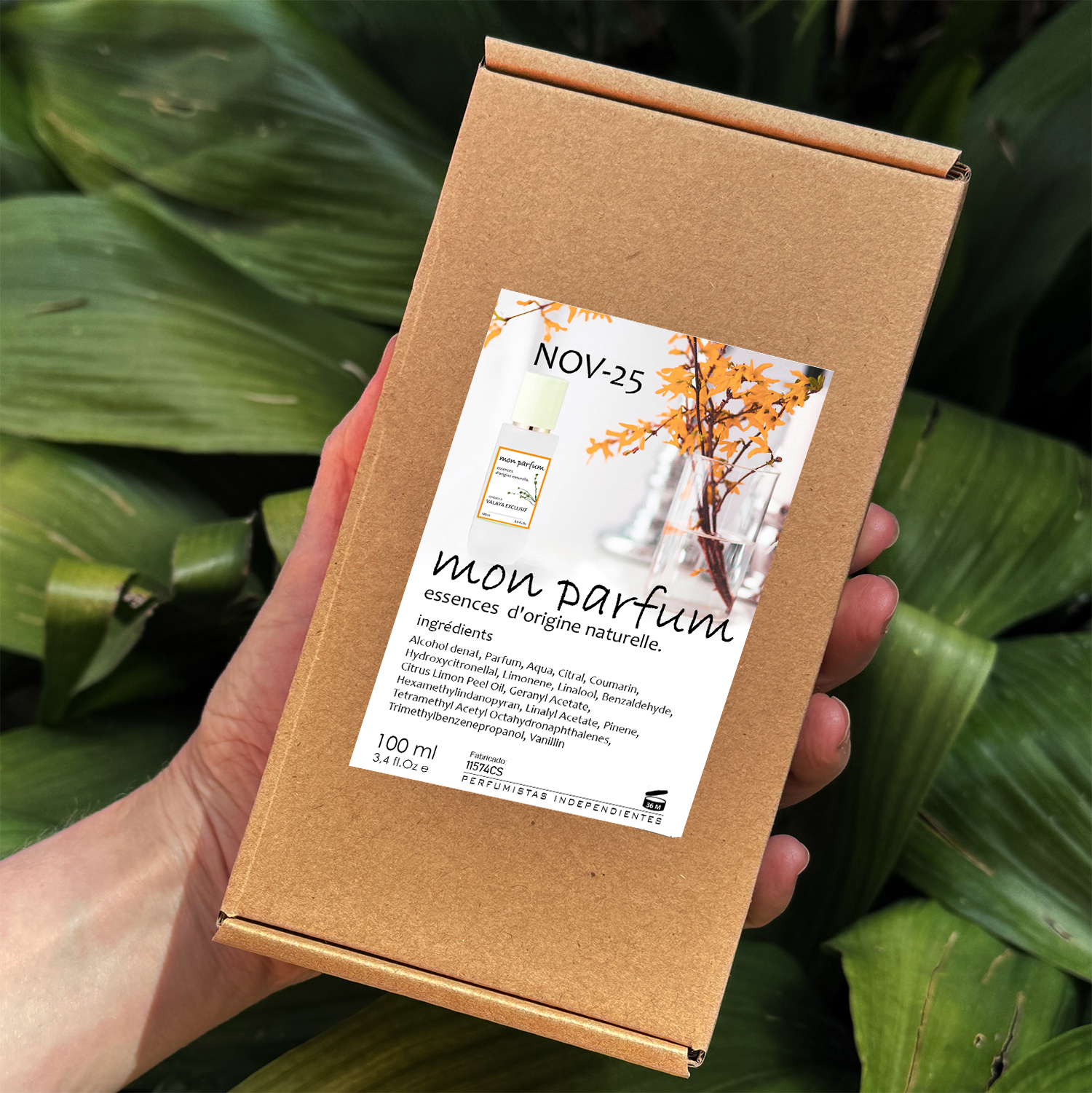 Tipo VALAYA EXCLUSIF (NOV-25) - Imagen 8