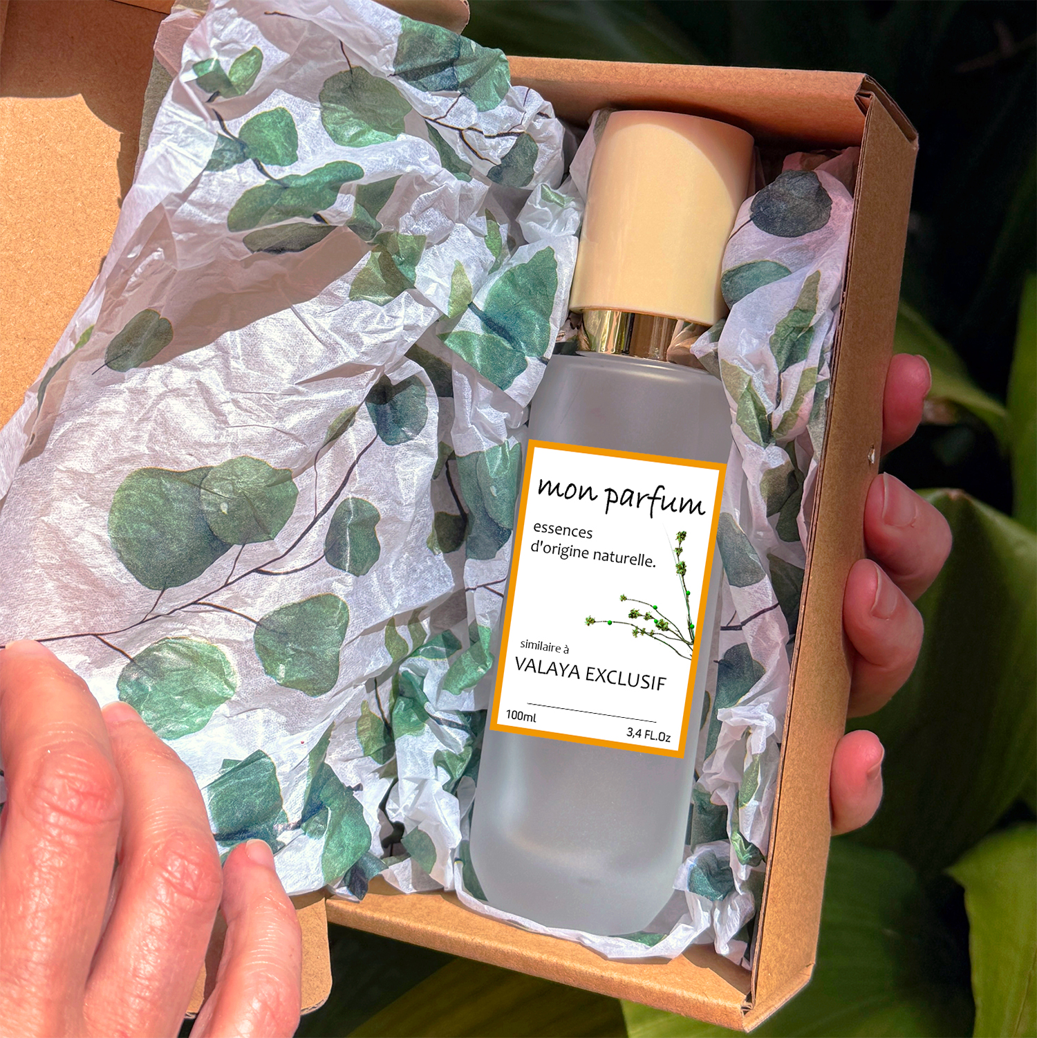 Tipo VALAYA EXCLUSIF (NOV-25) - Imagen 6